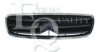 CITRO 7804T2 Radiator Grille